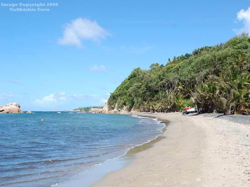 Calibishie Cove Hotel Facilities photo
